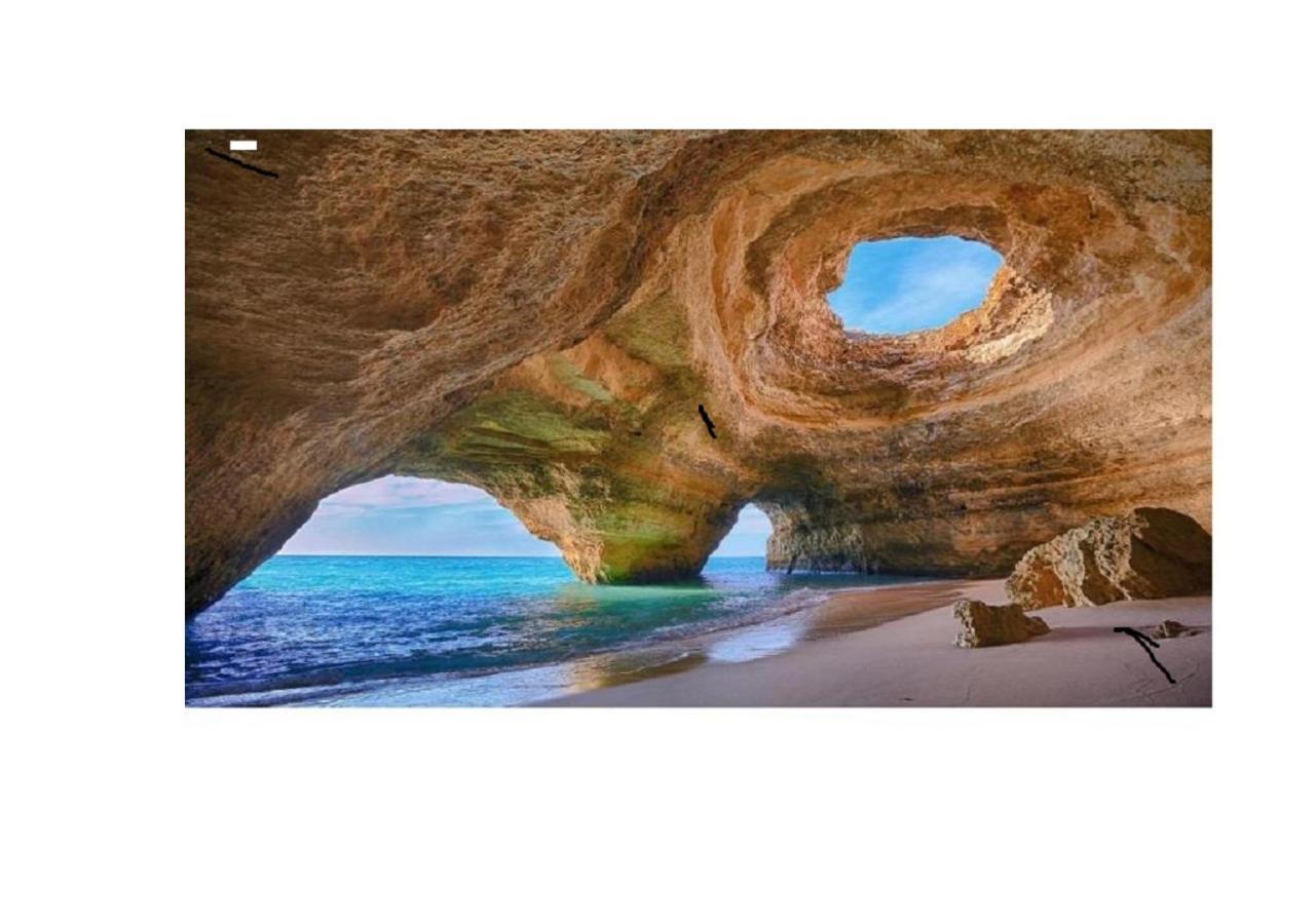 Apartamento Sea & Algarve *