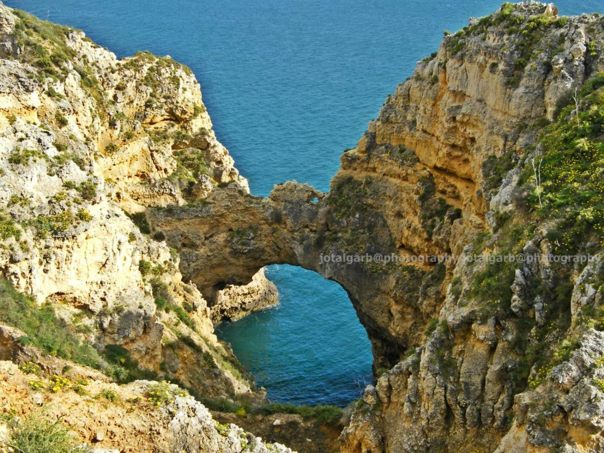 Sea & Algarve